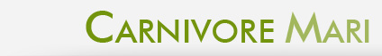 voluntariat conservarea naturii